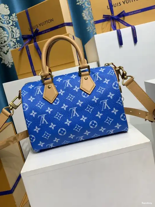 Fake Louis Bags Louis SPEEDY Vuitton 25 0222