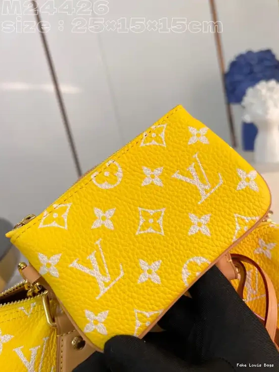 Repzbay Vuitton SPEEDY Louis 25 0224