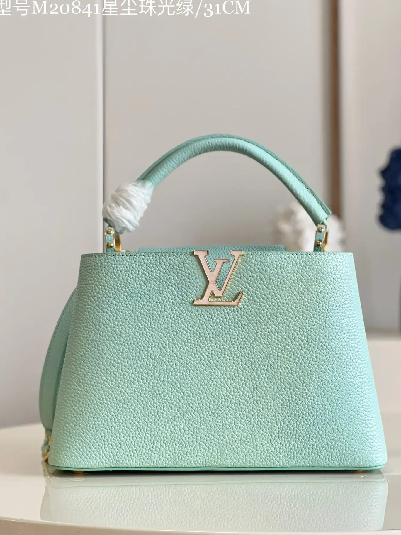 VUITTON CAPUCINES MM LOUIS 0213