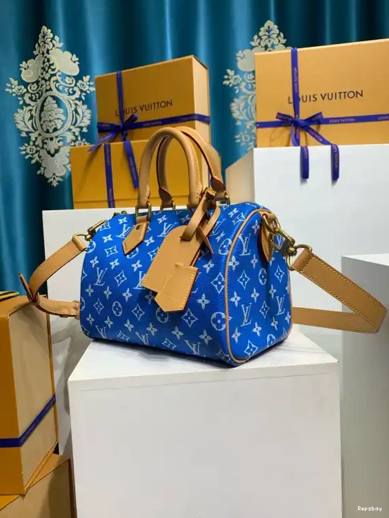 Fake Louis Bags Louis SPEEDY Vuitton 25 0222