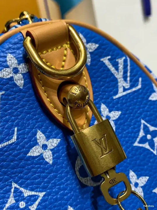 Fake Louis Bags Louis SPEEDY Vuitton 25 0222