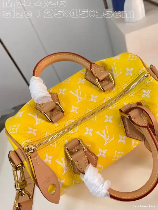 Repzbay Vuitton SPEEDY Louis 25 0224