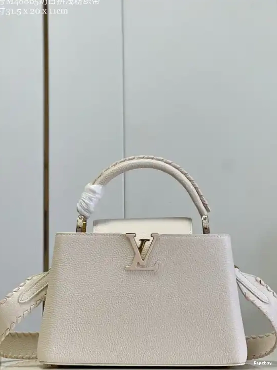 MM VUITTON CAPUCINES LOUIS 0220