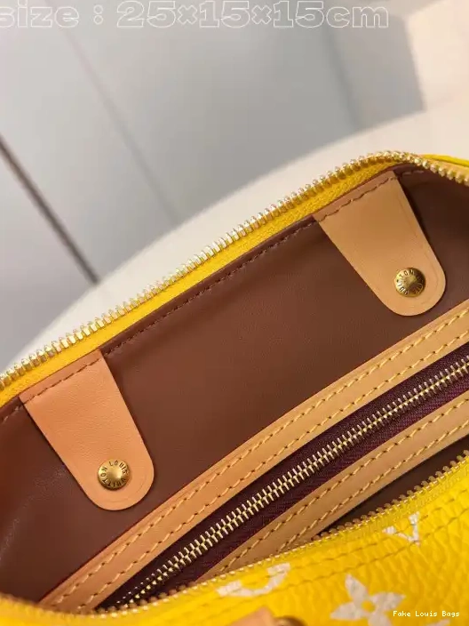 Repzbay Vuitton SPEEDY Louis 25 0224