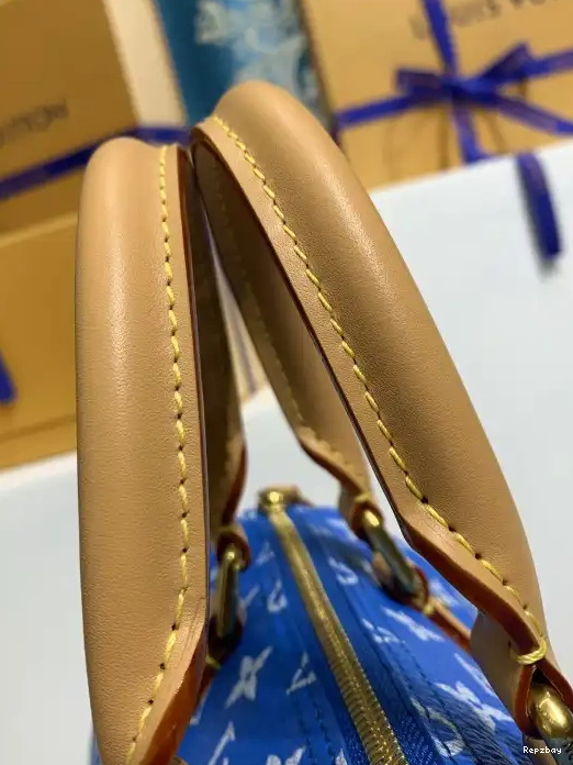 Fake Louis Bags Louis SPEEDY Vuitton 25 0222