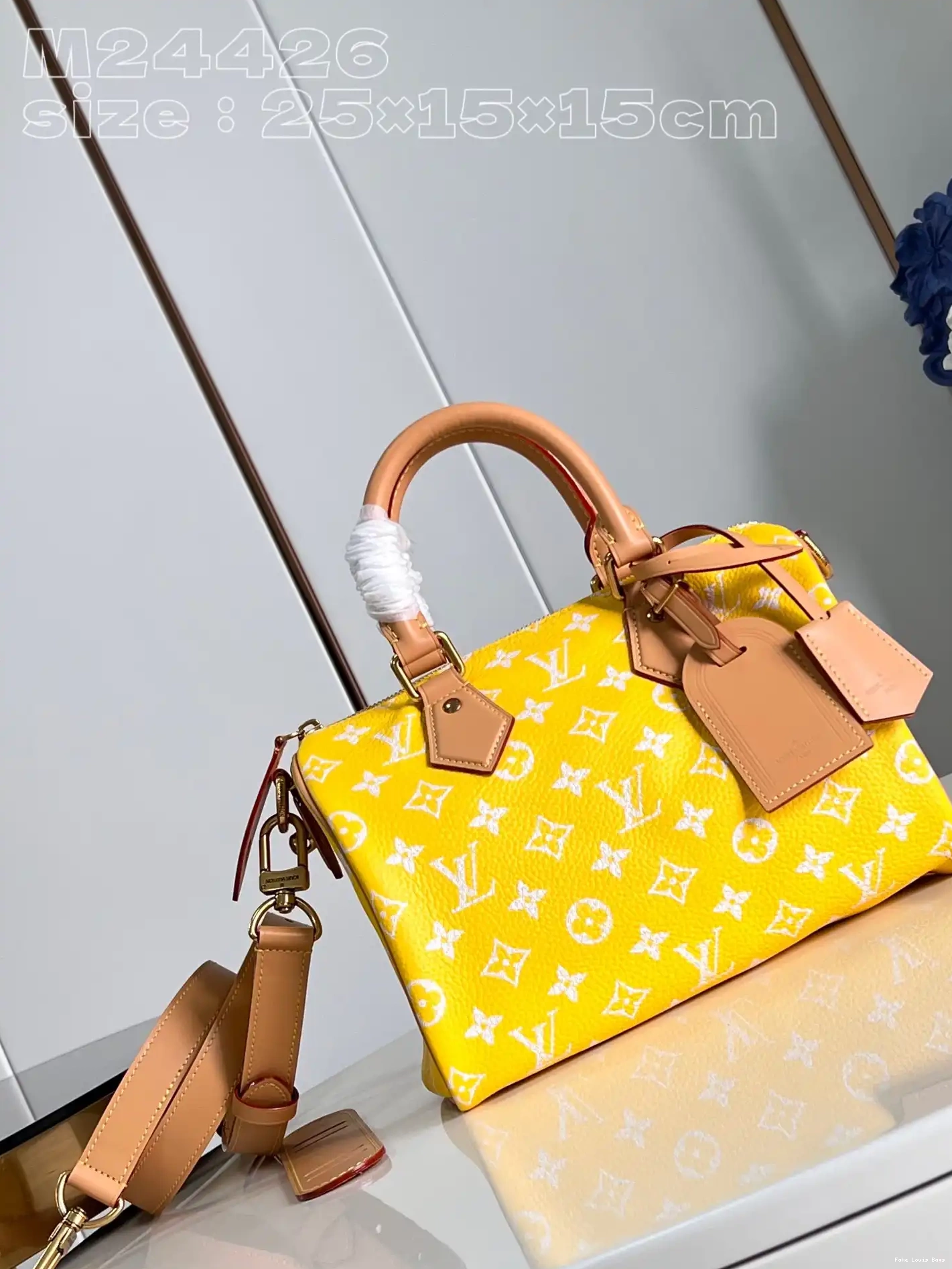 Repzbay Vuitton SPEEDY Louis 25 0224