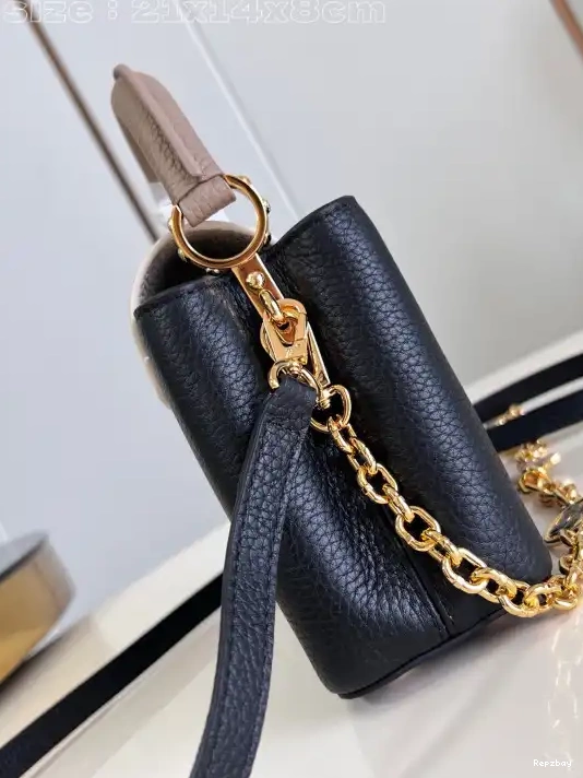 Fake Louis Bags LOUIS CAPUCINES MINI-21*14*8CM VUITTON 0227